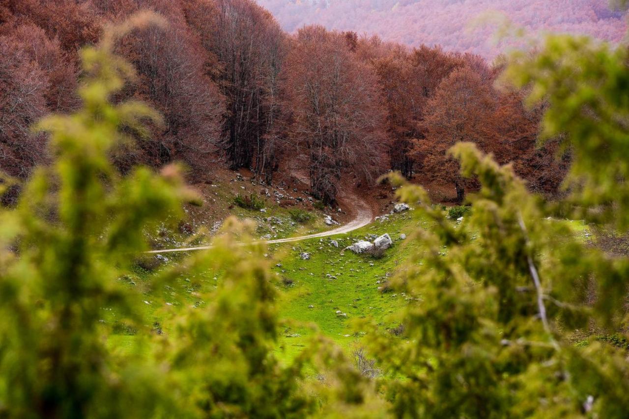 Appartamento A Campo Felice - Treeffe Collimento Exterior foto